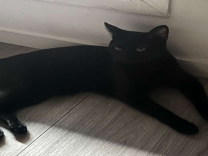 Maki (1 ans )