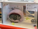 1 chaton femelle Mau Égyptien LOOF à vendre, black silver spotted tabby née en mai 2025