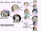 Leur pedigree