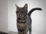 Lili 2 ans
