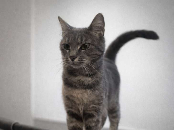 Lili 2 ans