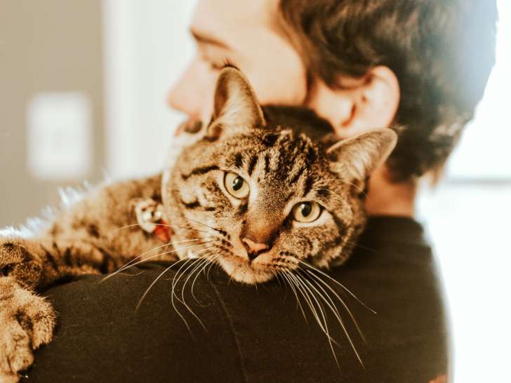 Pitou Minou & Compagnons