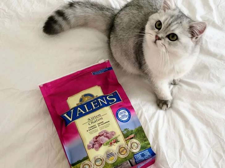 Pawparazzi d'animaux