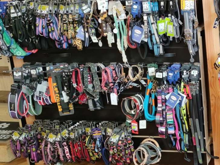 Petshopping