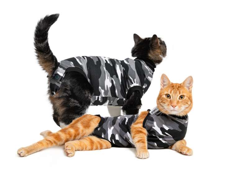 ASC Purina