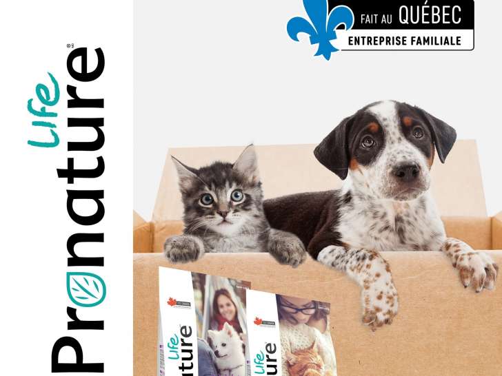 ASC Purina