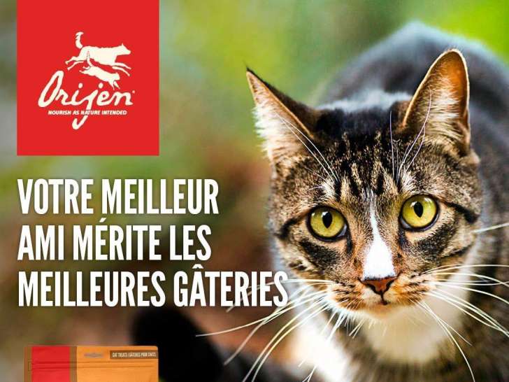 Distribution Gilles St-Jean