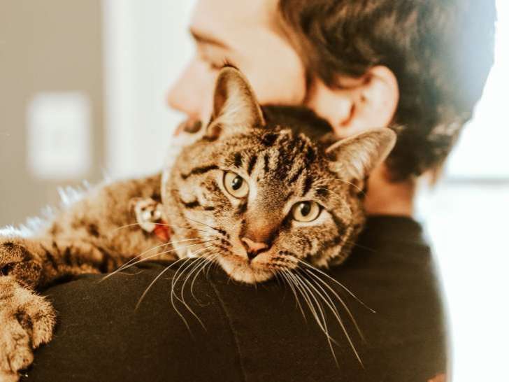 Pitou Minou & Compagnons