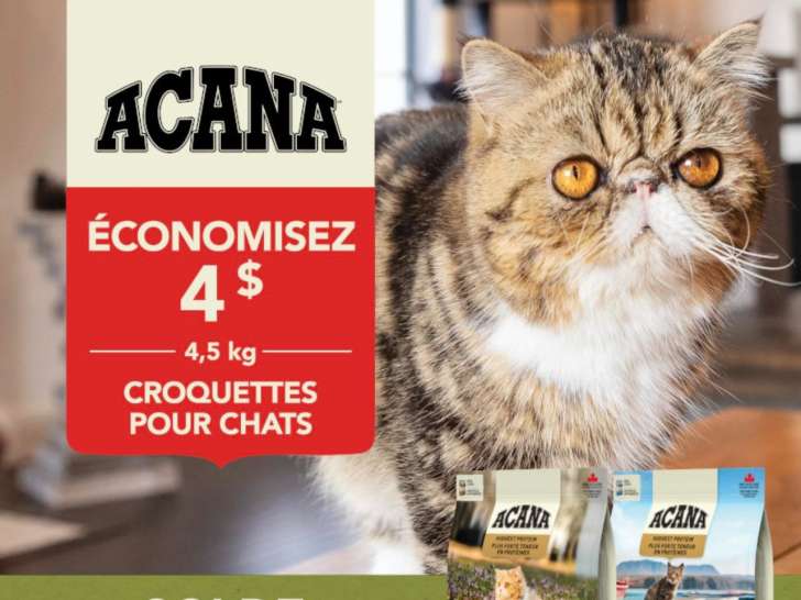 Naturellement bête