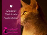 Amibouff
