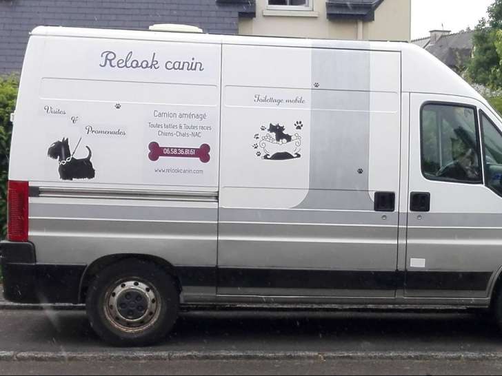 Relook Canin