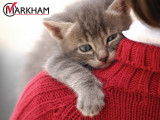 Markham Animal Adoption & Education Centre