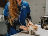 Orangeville & District Animal Centre