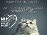 Northumberland Humane Society