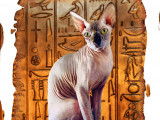 Tavel de la Diosa Bastet