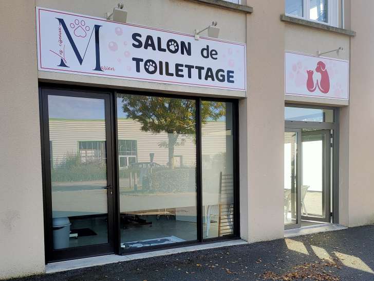 Les ciseaux de Marion