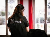 Rex Toilettage