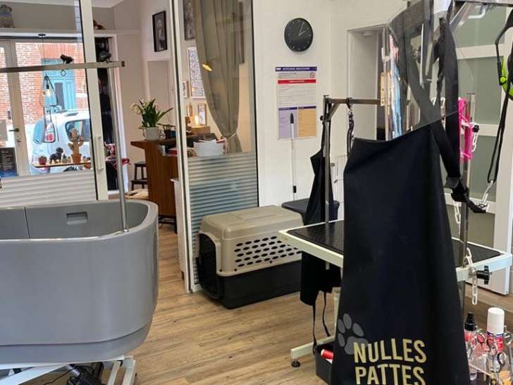 Nulles Pattes Ailleurs