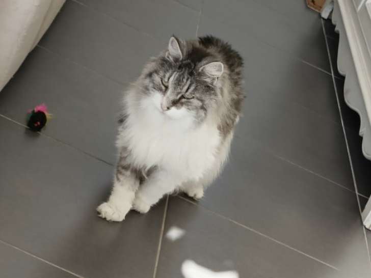 Les Pattes en L'Eyre