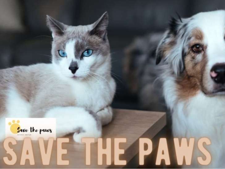 Save the Paws Animal Rescue