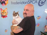 SPCA Fredericton
