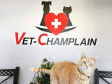 Vet-Champlain