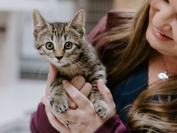 Cassells Animal Hospital