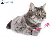 EastSide Veterinary Services