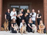Kemptville Animal Hospital