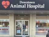Downtown Animal Hospital