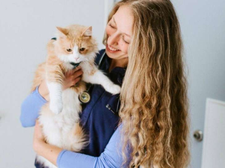 Bayridge Animal Hospital