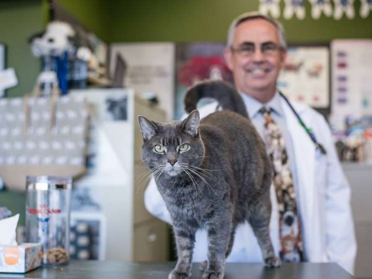 MacCormick Veterinary Services