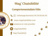 Mag'Chatsibilité