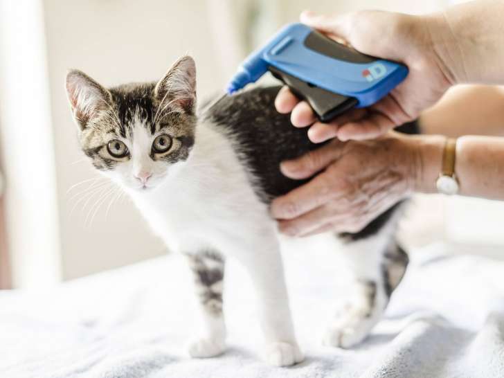 Gardiners Road Animal Hospital