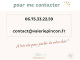 Valérie Pinçon