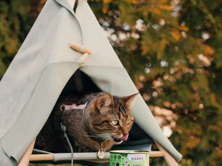 Healthy Pets Boutique