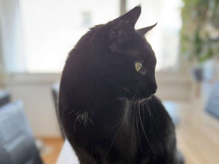 Atouchat