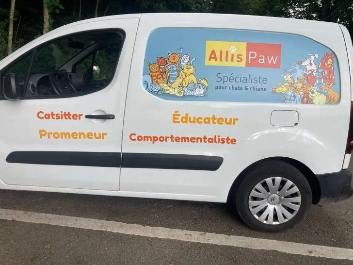 Allispaw
