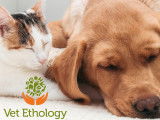 Vet Ethology