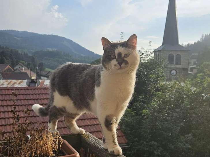 Mont d'Og