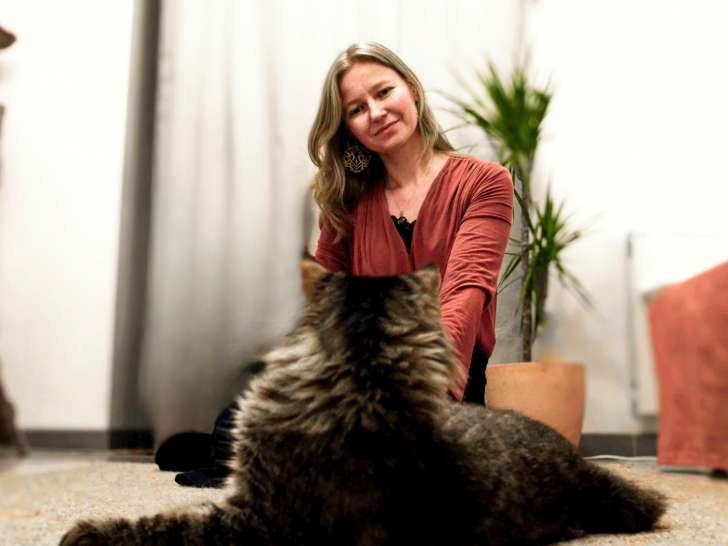 Féline Harmony, comportementaliste félin dans la Drôme