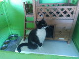Figaro et compagnie
