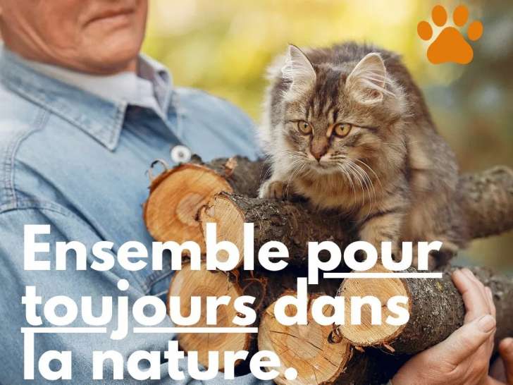 Les Berges des Seynes