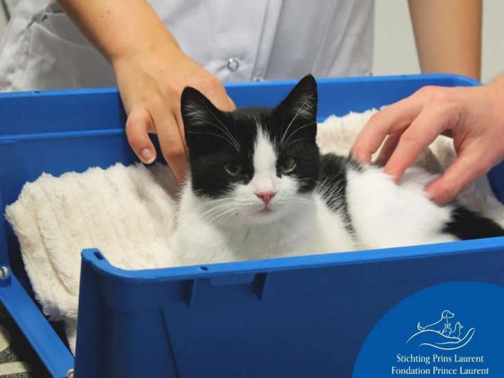 Fondation Prince Laurent