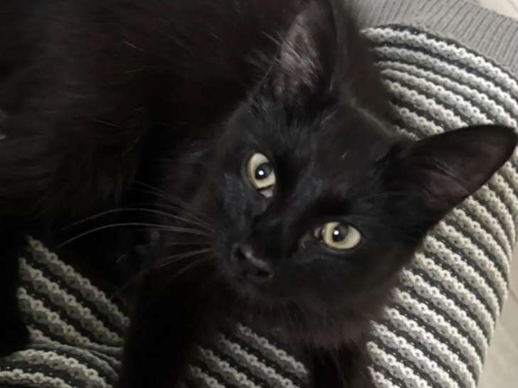 St&eacute;phanie Hendrickx