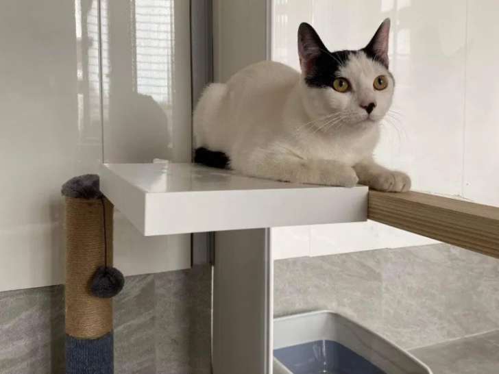 Du Chemin Des Cavaliers