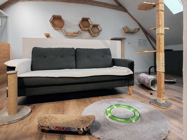 Espace détente avec jeux, parcours mural, griffoir géant