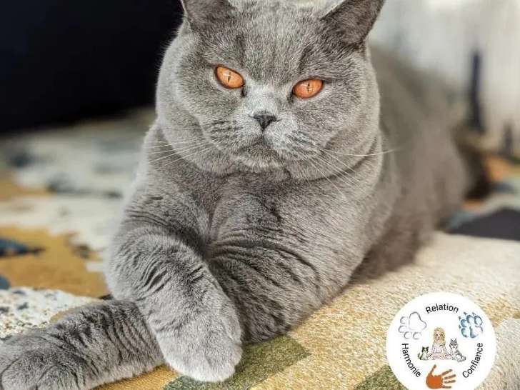 Marianne et Compagnons