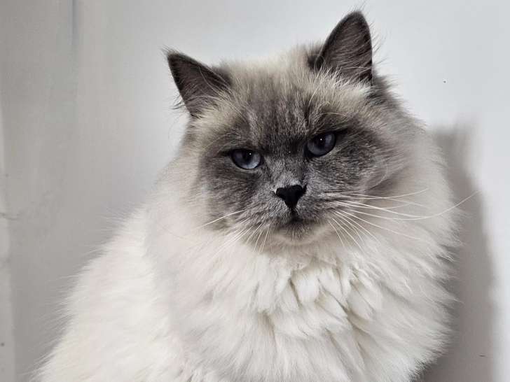 Des Gardiens de l'Indalo