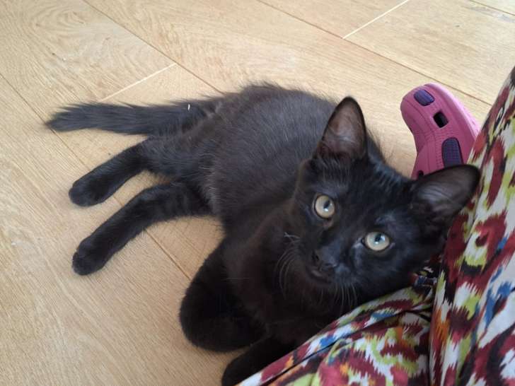 Besoin D'Un Coup D'Patte ?